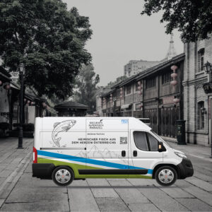 10_Fiat_Declevas